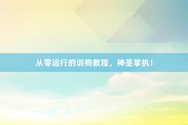 从零运行的训狗教程，神圣掌执！