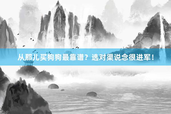 从那儿买狗狗最靠谱？选对渠说念很进军！