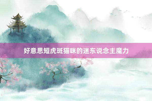 好意思短虎斑猫咪的迷东说念主魔力